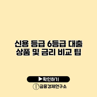 신용 등급 6등급 대출 상품 및 금리 비교 팁