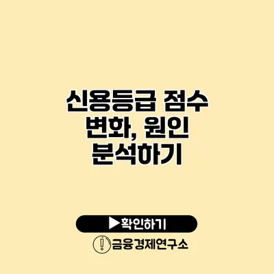 신용등급 점수 변화, 원인 분석하기