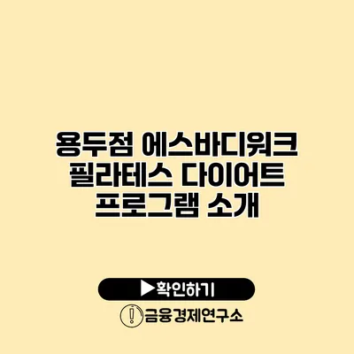 용두점 에스바디워크 필라테스 다이어트 프로그램 소개