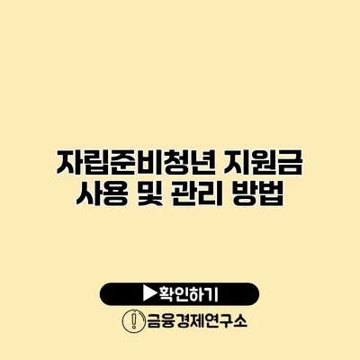 자립준비청년 지원금 사용 및 관리 방법