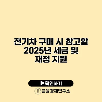 전기차 구매 시 참고할 2025년 세금 및 재정 지원
