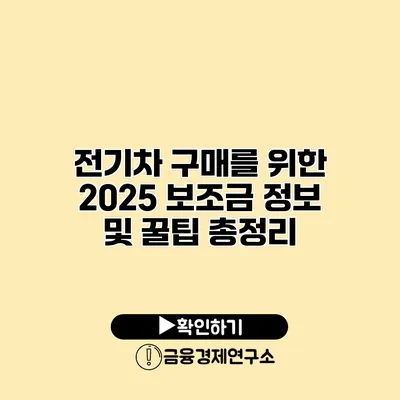 전기차 구매를 위한 2025 보조금 정보 및 꿀팁 총정리
