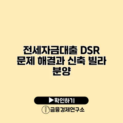전세자금대출 DSR 문제 해결과 신축 빌라 분양