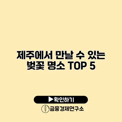 제주에서 만날 수 있는 벚꽃 명소 TOP 5