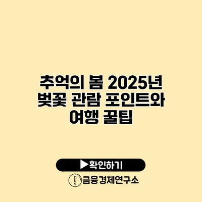 추억의 봄 2025년 벚꽃 관람 포인트와 여행 꿀팁