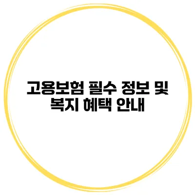 고용보험 필수 정보 및 복지 혜택 안내