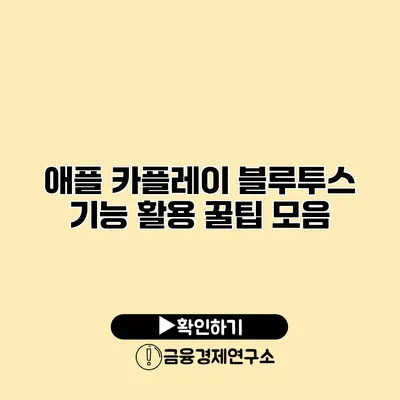 애플 카플레이 블루투스 기능 활용 꿀팁 모음