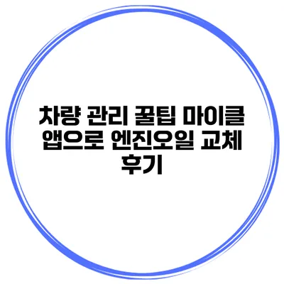 차량 관리 꿀팁 마이클 앱으로 엔진오일 교체 후기