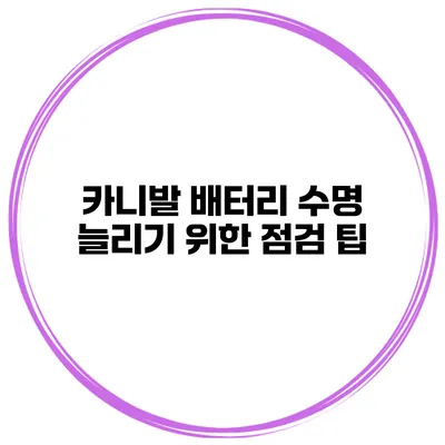 카니발 배터리 수명 늘리기 위한 점검 팁