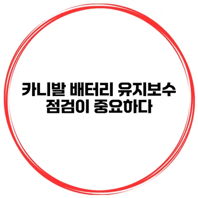 카니발 배터리 유지보수 점검이 중요하다