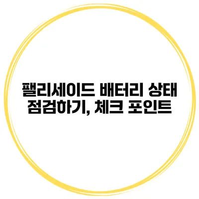 팰리세이드 배터리 상태 점검하기, 체크 포인트